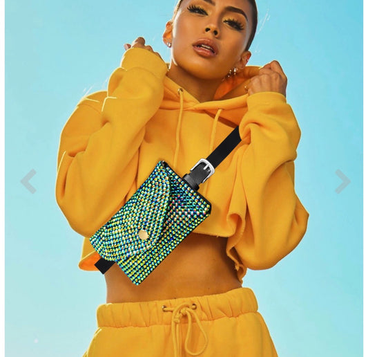 The Aurora Luxe Belt Bag